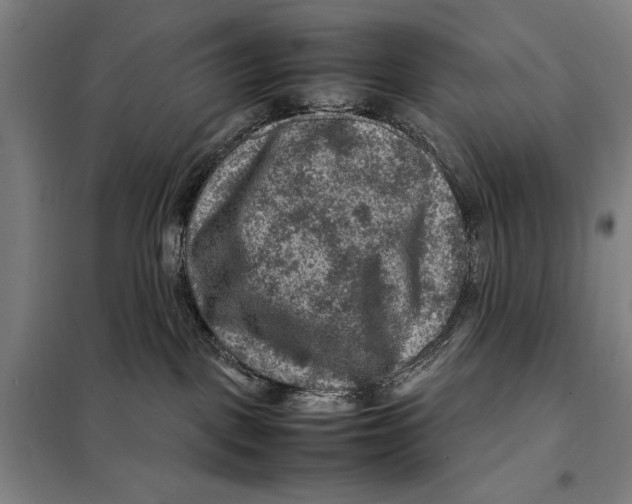 X0000097920093200804041534