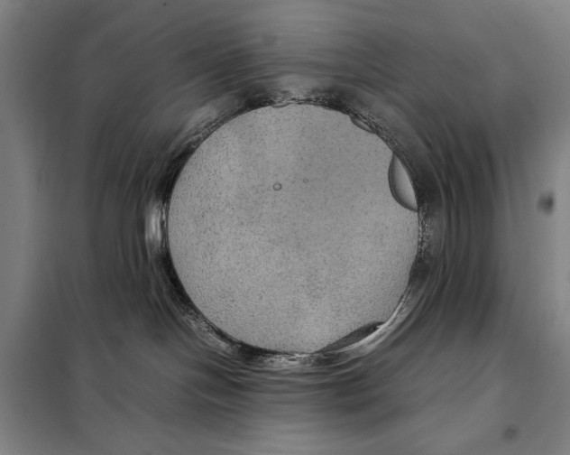 X0000097920094200804041534