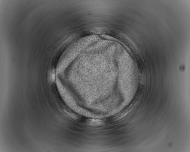 X0000097920095200804041534