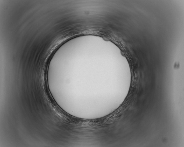 X0000097920098200804041533