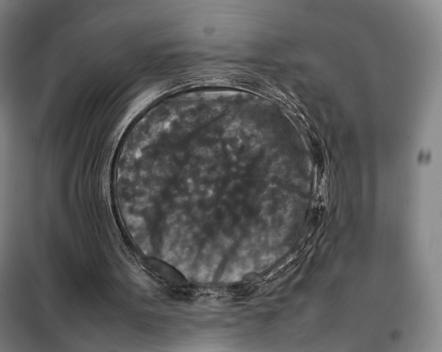 X0000097920099200804041533