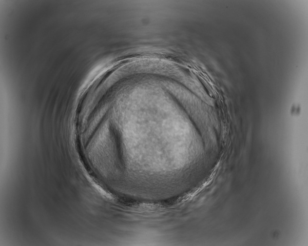 X0000097920101200804041533