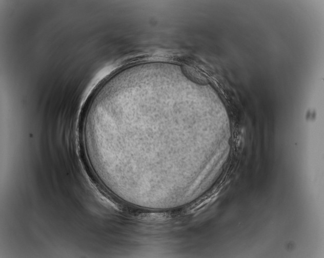 X0000097920102200804041533