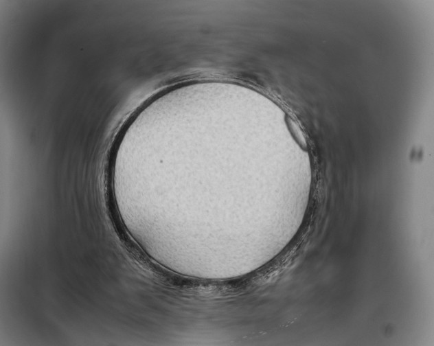 X0000097920103200804041533