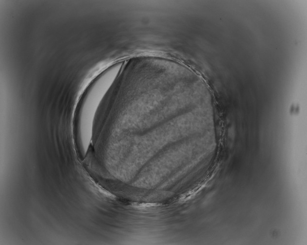 X0000097920104200804041533