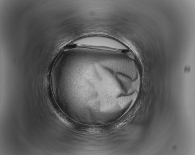 X0000097920105200804041533