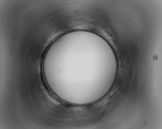 X0000097920106200804041533