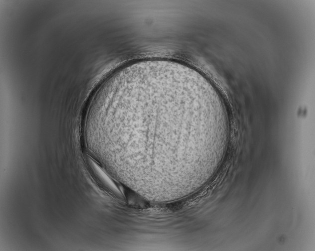 X0000097920107200804041533