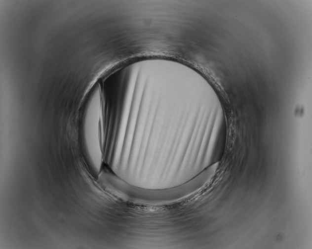 X0000097920108200804041533