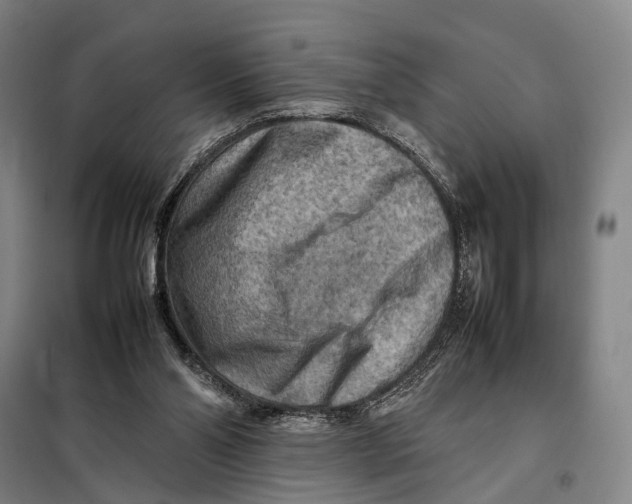 X0000097920110200804041533