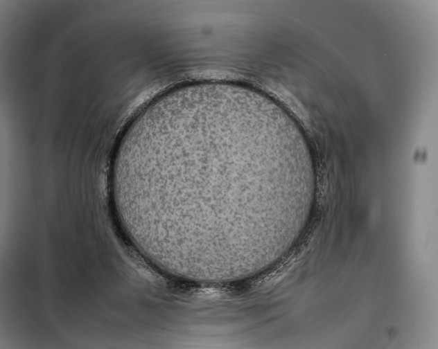 X0000097920111200804041533