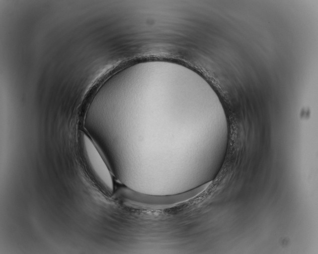 X0000097920112200804041533