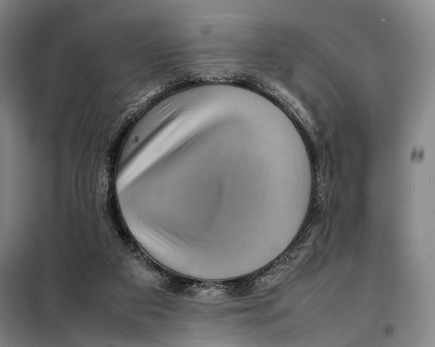 X0000097920113200804041533