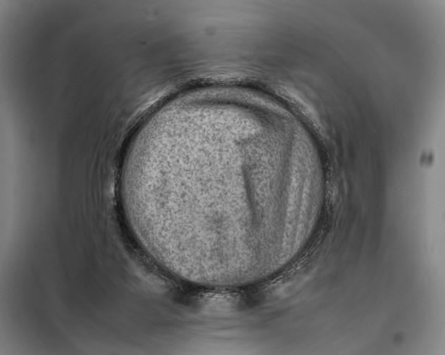 X0000097920115200804041533