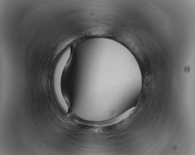 X0000097920116200804041533