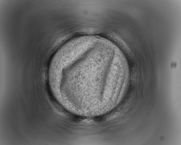 X0000097920119200804041533