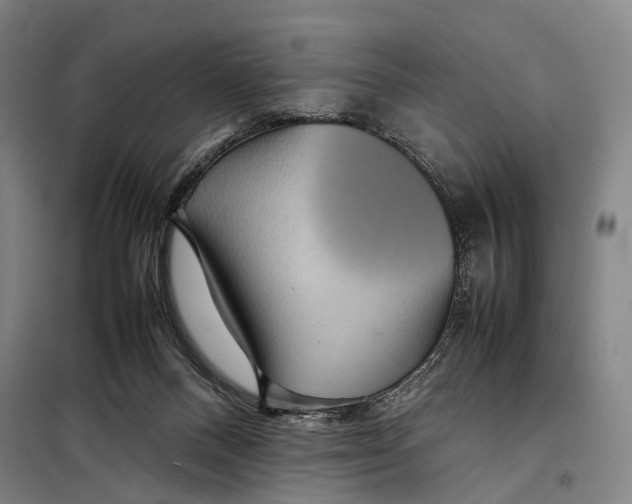 X0000097920120200804041533