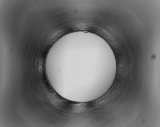 X0000097920122200804041533