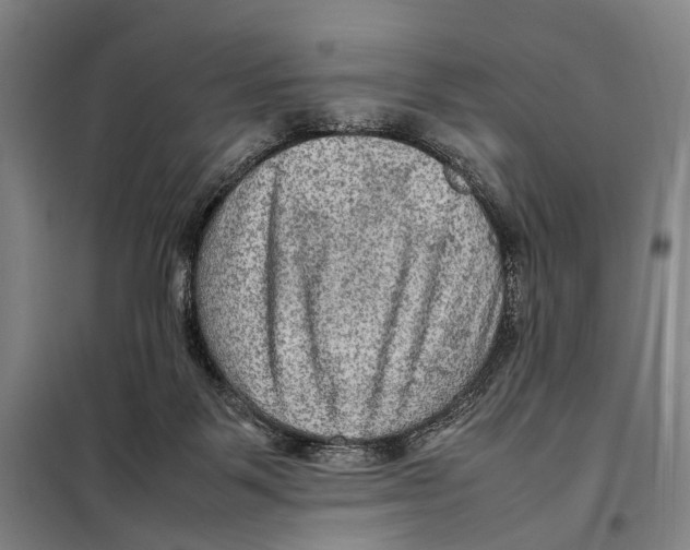 X0000097920123200804041533