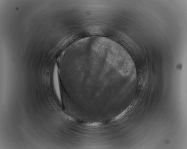 X0000097920124200804041533