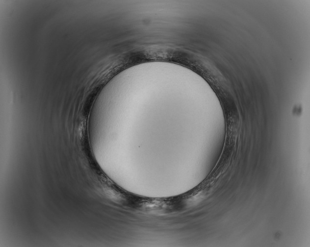 X0000097920125200804041532