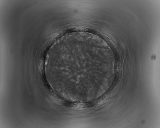 X0000097920127200804041532