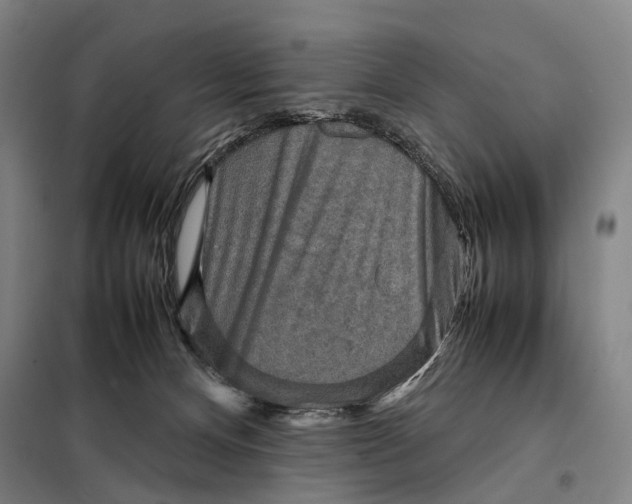 X0000097920128200804041532