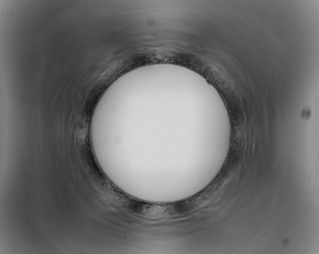 X0000097920129200804041532