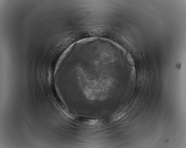 X0000097920130200804041532