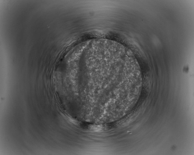 X0000097920131200804041532