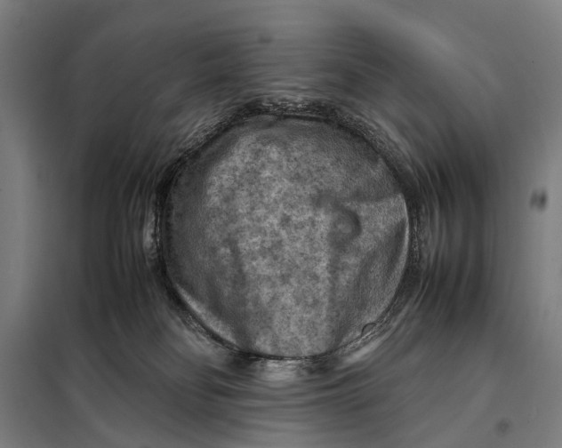 X0000097920134200804041532