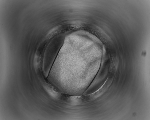 X0000097920136200804041532