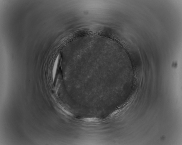 X0000097920137200804041532