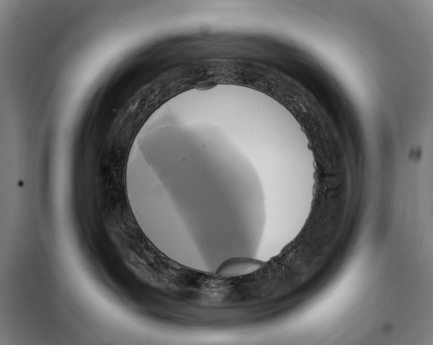 X0000097920143200804041532