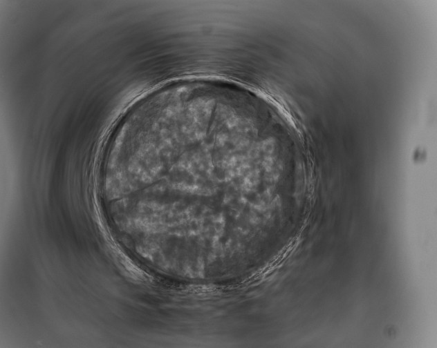 X0000097920145200804041532