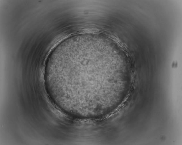 X0000097920146200804041532