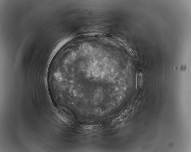 X0000097920147200804041532