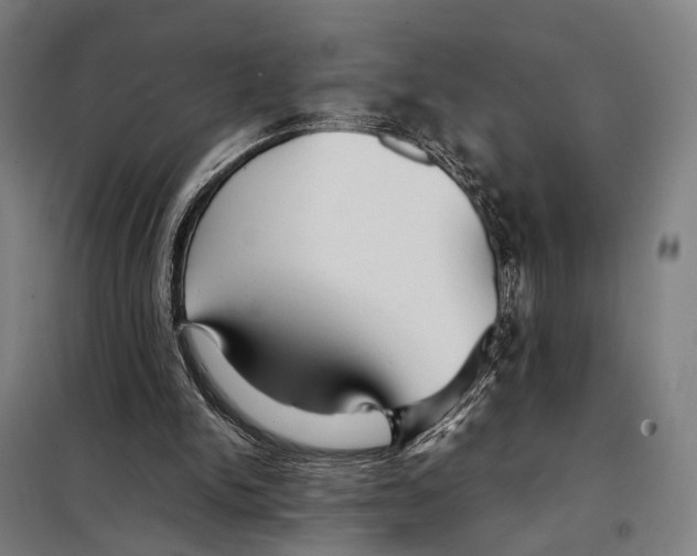 X0000097920150200804041532