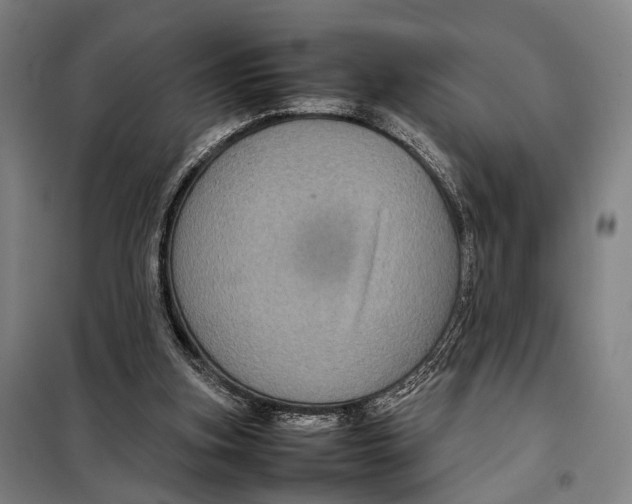 X0000097920155200804041532