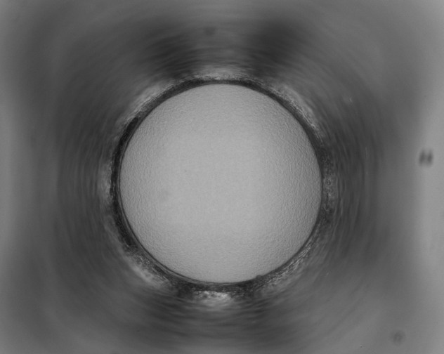 X0000097920159200804041532