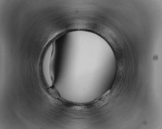 X0000097920160200804041532