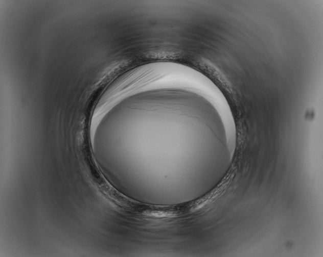 X0000097920163200804041532