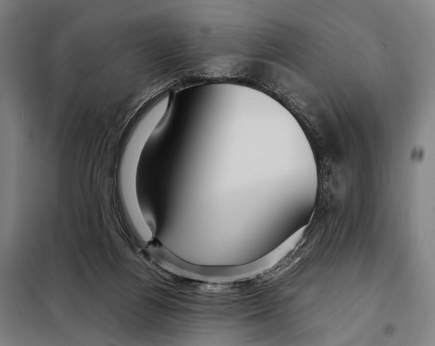 X0000097920164200804041532