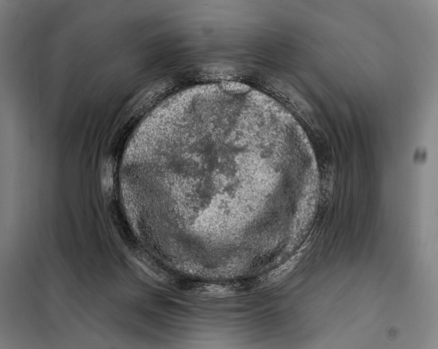 X0000097920166200804041532