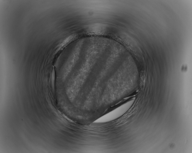 X0000097920168200804041532