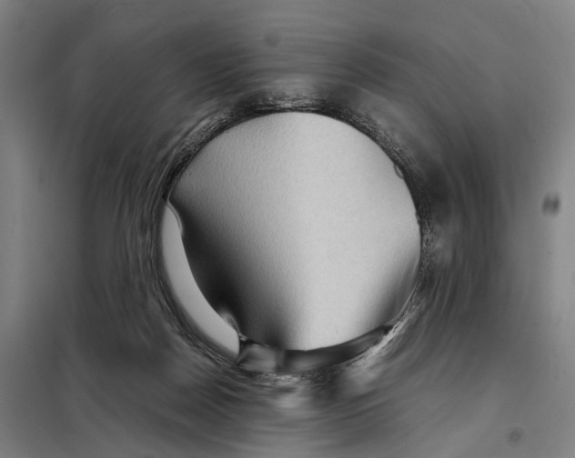 X0000097920170200804041532