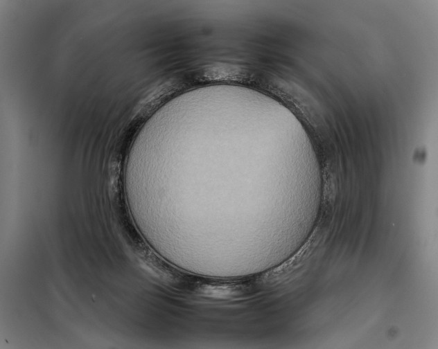 X0000097920171200804041532