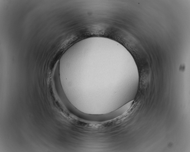 X0000097920172200804041532