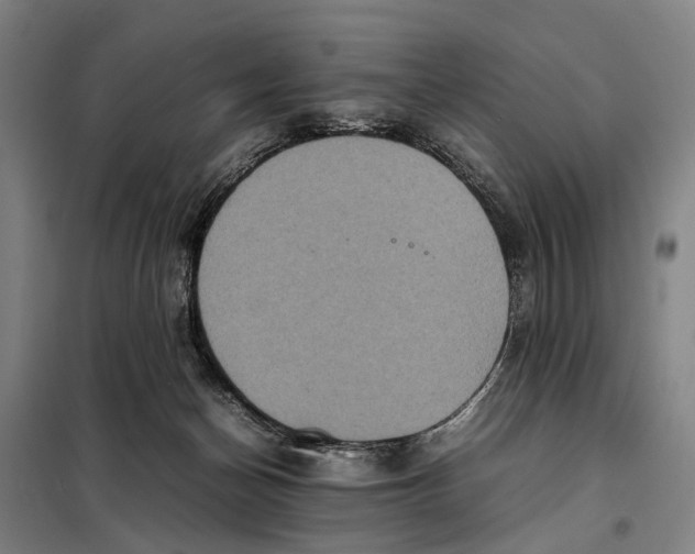 X0000097920174200804041532