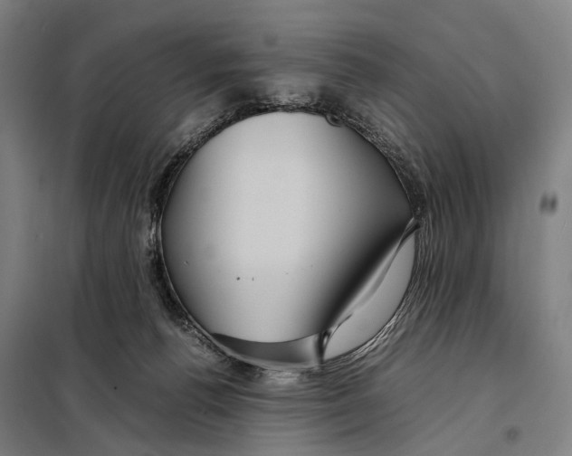 X0000097920176200804041532